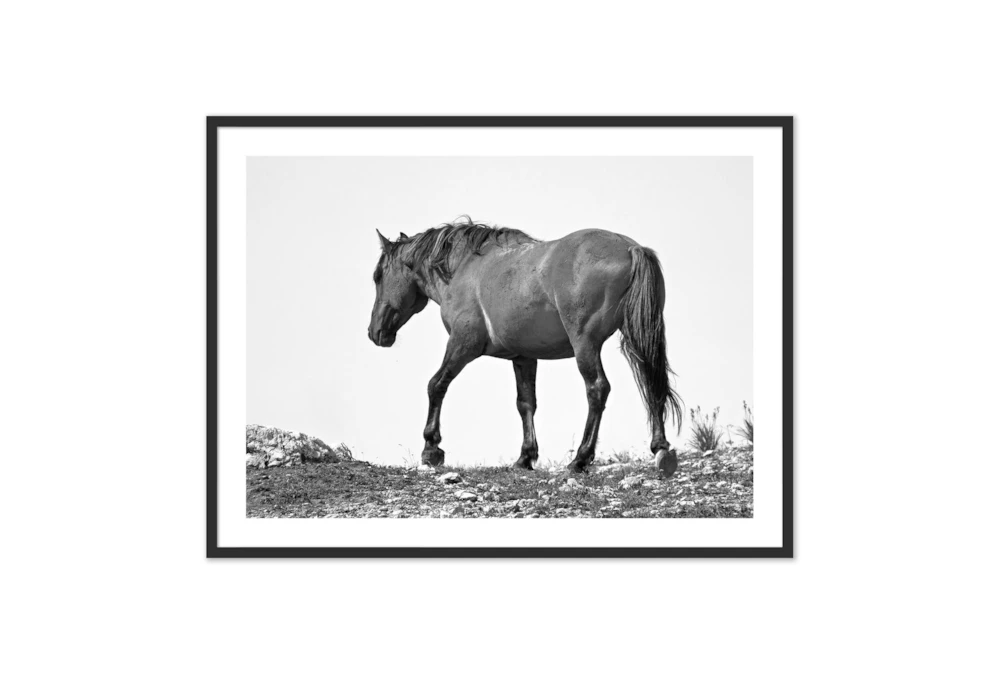 60X40 Wild Horse Grulla Gray With Black Frame