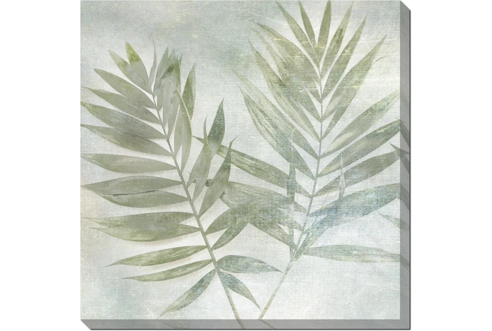 45X45 Fronds I With Gallery Wrap Canvas
