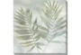 45X45 Fronds I With Gallery Wrap Canvas - Signature