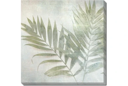 24X24 Fronds II With Gallery Wrap Canvas