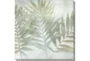 24X24 Fronds III With Gallery Wrap Canvas - Signature