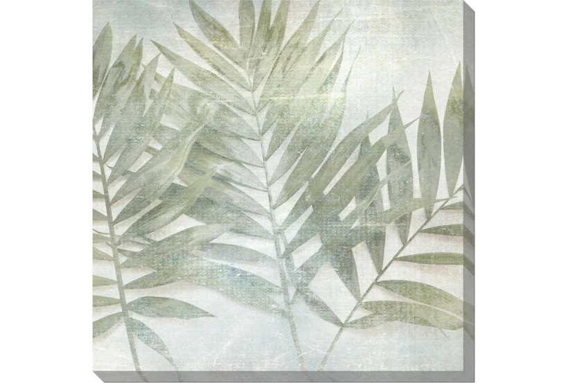 45X45 Fronds III With Gallery Wrap Canvas - 360