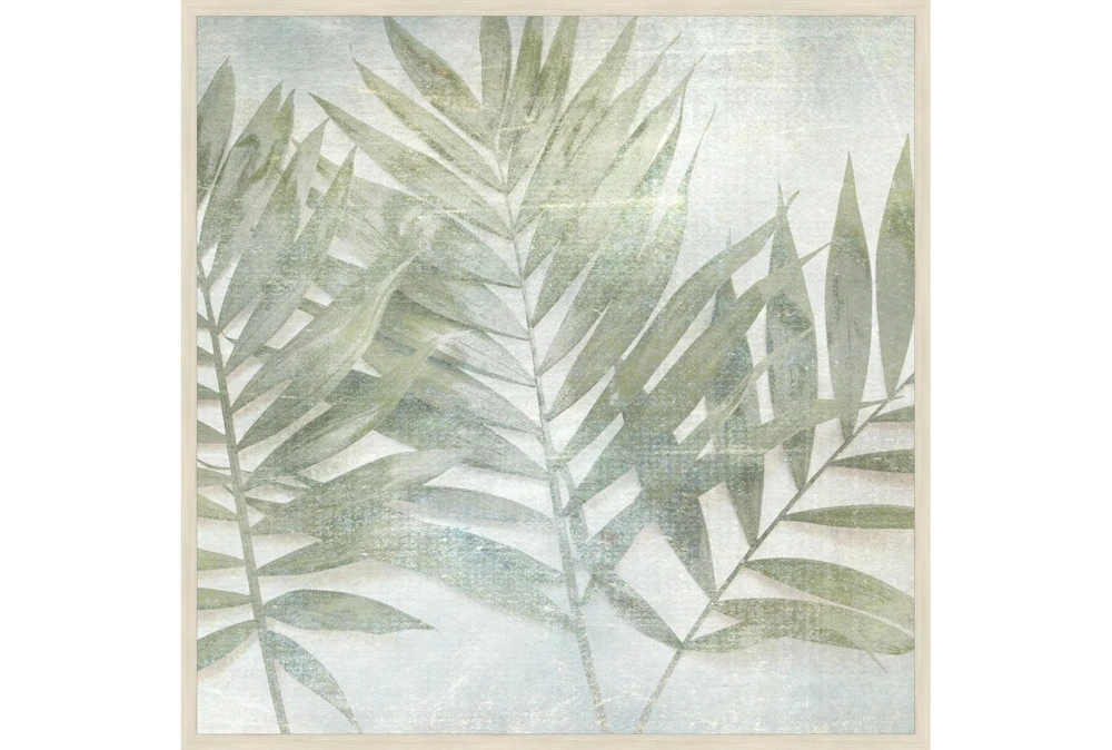 47X47 Fronds III With Birch Frame