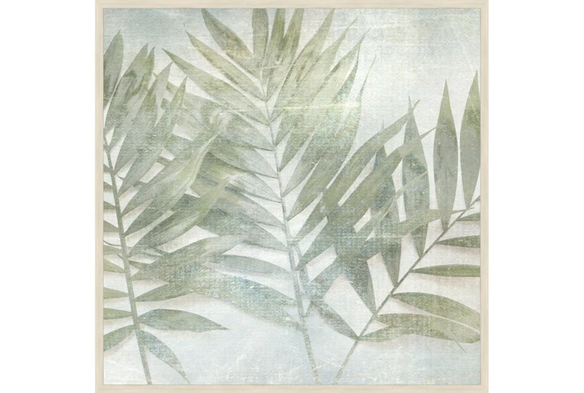 47X47 Fronds III With Birch Frame - 360
