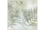 47X47 Fronds III With Birch Frame - Signature