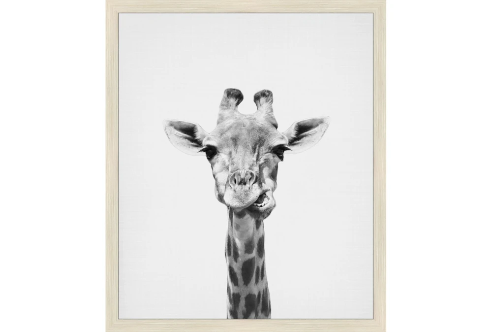22X26 Giraffe With Birch Frame