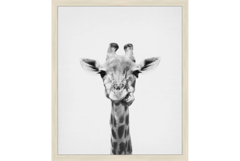 22X26 Giraffe With Birch Frame - 360