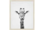 22X26 Giraffe With Birch Frame - Signature