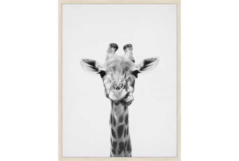 32X42 Giraffe With Birch Frame - 360
