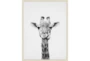 32X42 Giraffe With Birch Frame - Signature