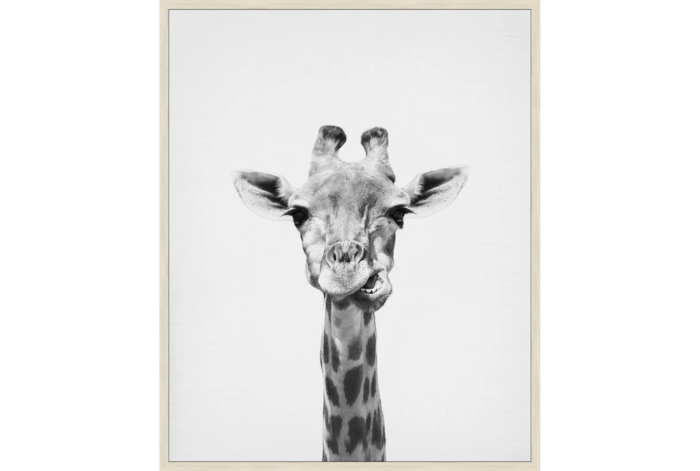 42X52 Giraffe With Birch Frame