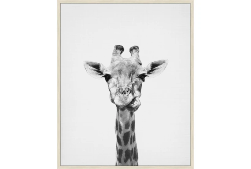 42X52 Giraffe With Birch Frame - 360