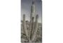 20X40 Lone Cactus With Gallery Wrap Canvas - Signature