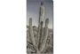 24X48 Lone Cactus With Gallery Wrap Canvas - Signature