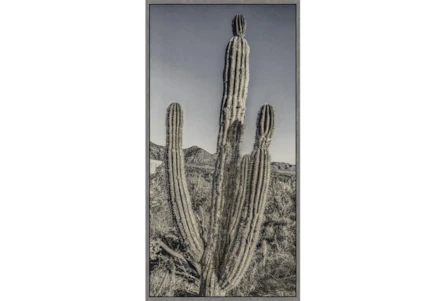 22X42 Lone Cactus With Grey Frame