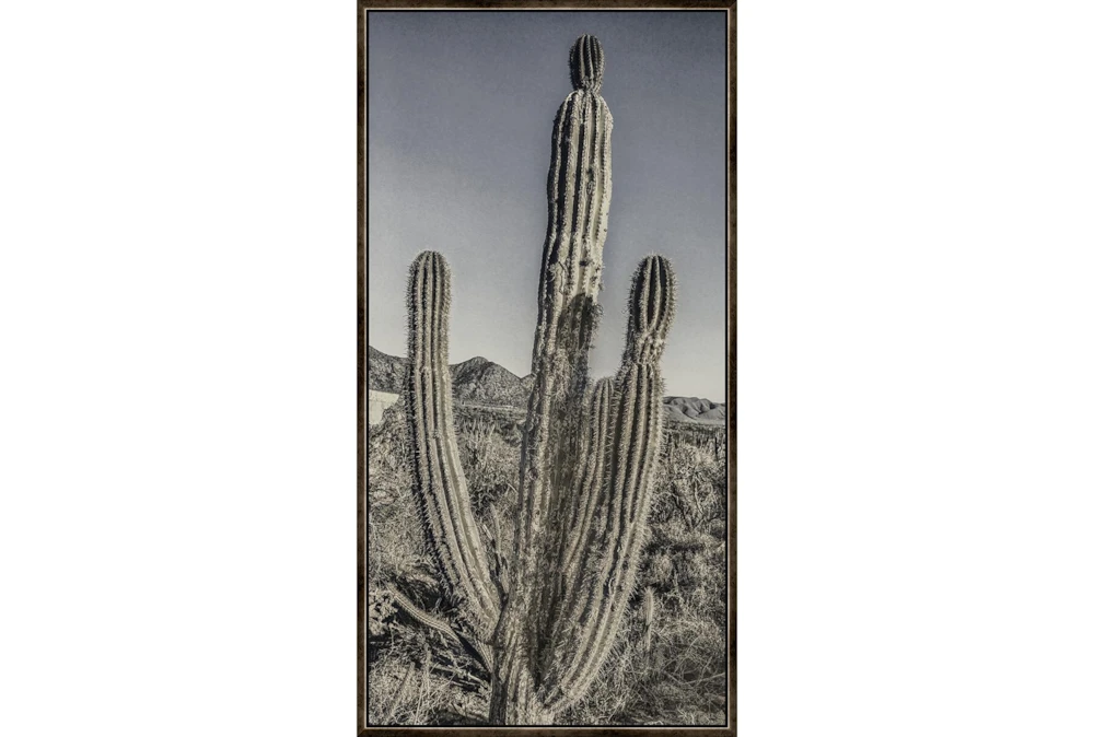 26X50 Lone Cactus With Espresso Frame