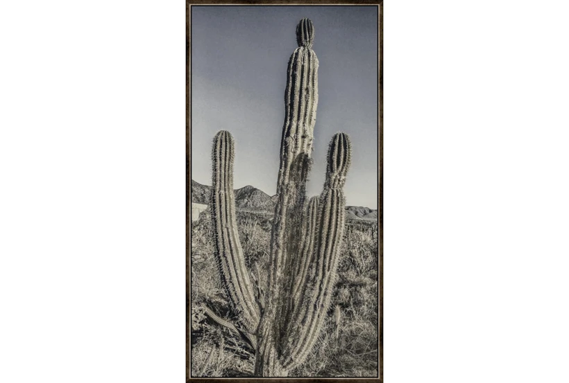 26X50 Lone Cactus With Espresso Frame - 360