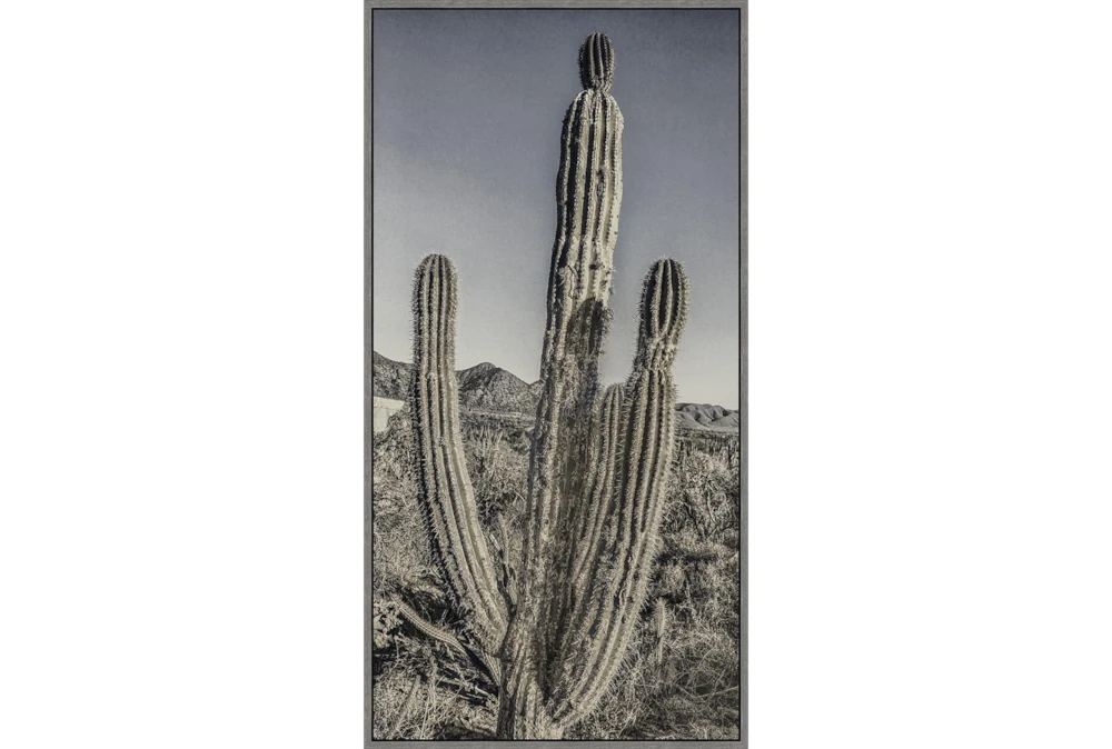 26X50 Lone Cactus With Grey Frame