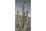26X50 Lone Cactus With Grey Frame - Signature