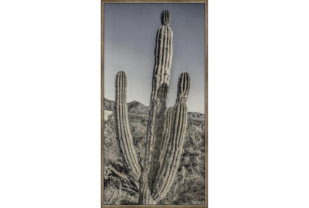 26X50 Lone Cactus With Bronze Frame