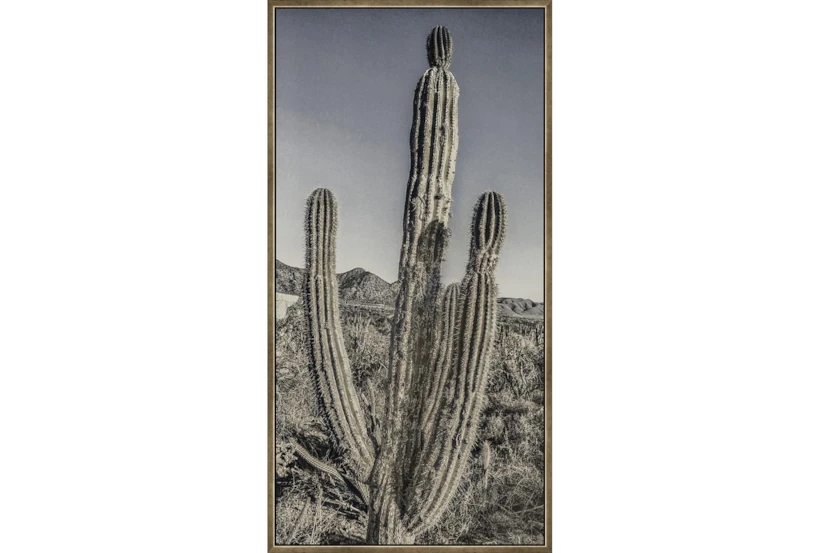 26X50 Lone Cactus With Bronze Frame - 360