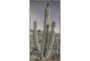 26X50 Lone Cactus With Bronze Frame - Signature