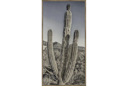 29X56 Lone Cactus With Bronze Frame