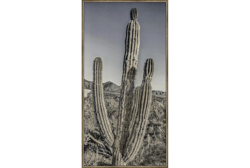 29X56 Lone Cactus With Bronze Frame - 360