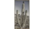 29X56 Lone Cactus With Bronze Frame - Signature