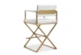 Director White Gold Steel Counter Stool - Back