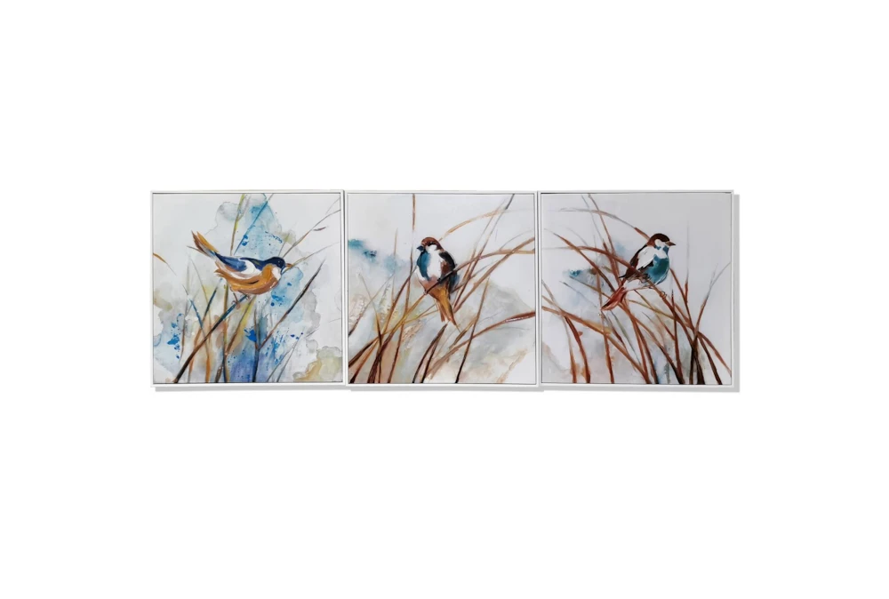 23X23 Feathered Trio Set Of 3