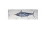 62X21 Rustic Swordfish - Signature