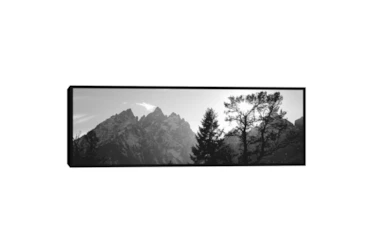 49X17 Pine Trees At Grand Teton National Park With Black Frame By Drew & Jonathan For Living Spaces