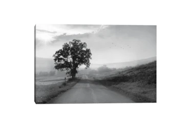 36X24 Foggy Country Road Gallery Wrap By Drew & Jonathan For Living Spaces