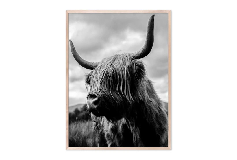 30X40 Michael Schauer Highland Cow With Maple Frame - 360