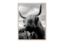30X40 Michael Schauer Highland Cow With Maple Frame - Signature
