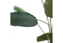 70 Inch Green Bird Of Paradise Artificial Tree With Black Plastic Pot - Detail