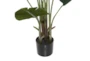 70 Inch Green Bird Of Paradise Artificial Tree With Black Plastic Pot - Detail