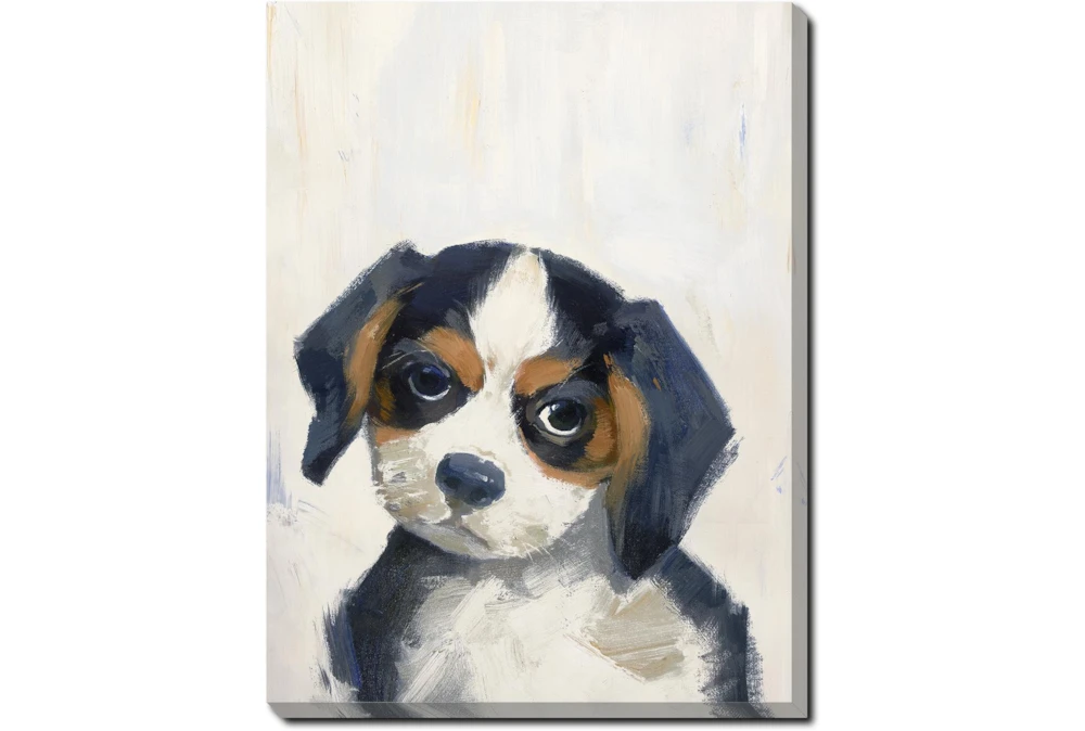 12X16 Beagle With Gallery Wrap