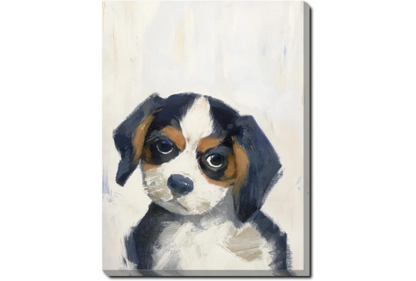 12X16 Beagle With Gallery Wrap - 360
