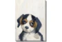 12X16 Beagle With Gallery Wrap - Signature