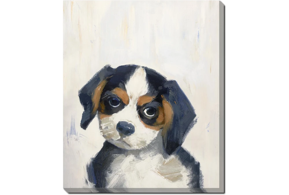 20X24 Beagle With Gallery Wrap