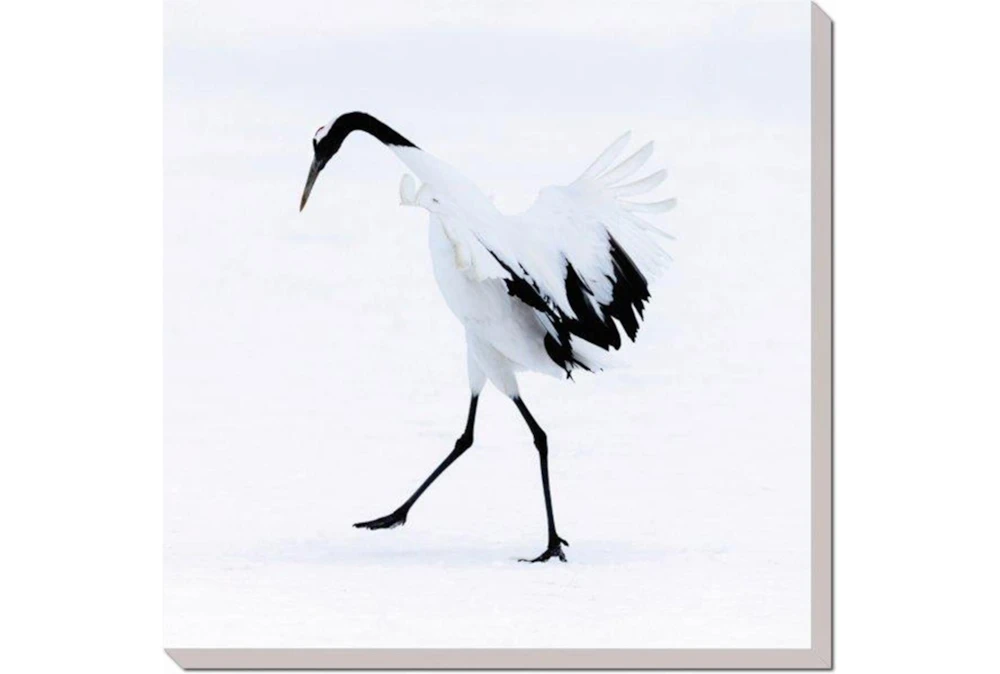 36X36 Graceful Egret I With Gallery Wrap