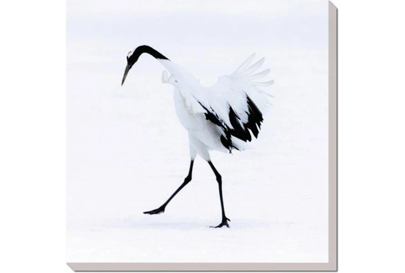 36X36 Graceful Egret I With Gallery Wrap - 360