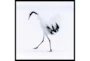 26X26 Graceful Egret I With Black Frame - Signature