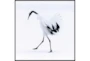 47X47 Graceful Egret I With Black Frame - Signature