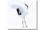 36X36 Graceful Egret I With Gallery Wrap - Signature