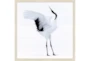 26X26 Graceful Egret I With Birch Frame - Signature