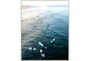 42X52 Ocean Surf With Birch Frame - Signature
