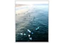 42X52 Ocean Surf With White Frame - Signature